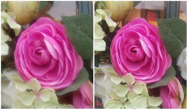 M9 Photo Comparison Flowers 640x376