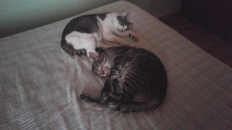 gato g4 manual