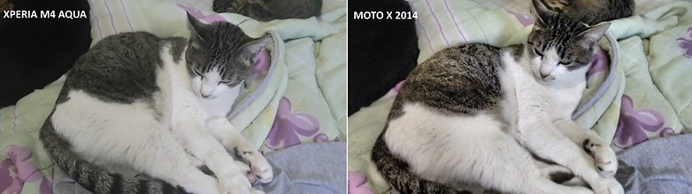 moto x vs xperia m4 aqua camera