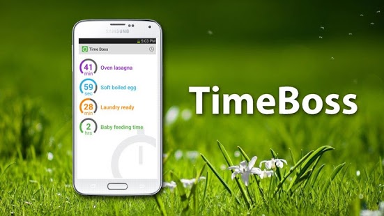 download the new for android Time Boss Pro 3.36.005
