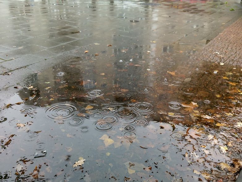 lg g4 photo 2
