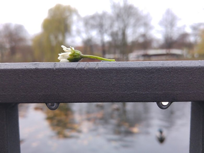 lg g4 photo 3