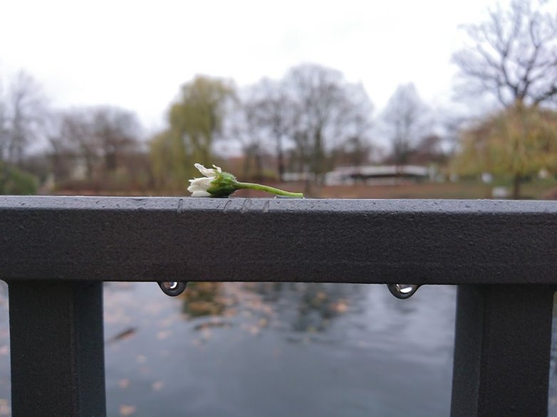 sony xperia z5 photo 3