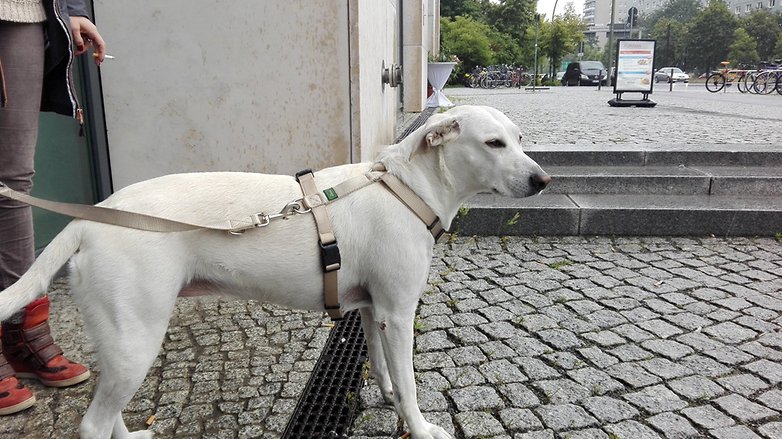 Huawei P8 lite testbild 2