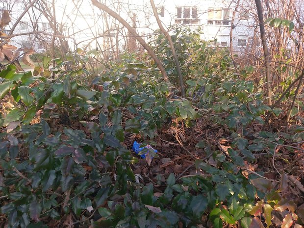 Top smartphones 2016, camera blind test 2017