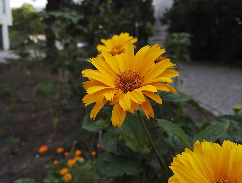 honor 7 testbild 4