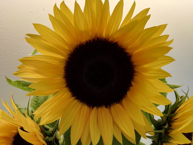 huawei p8 testbild 3
