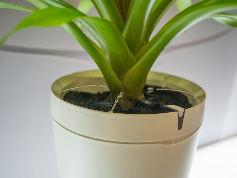 androidpit ifa 16 parrot pot 4