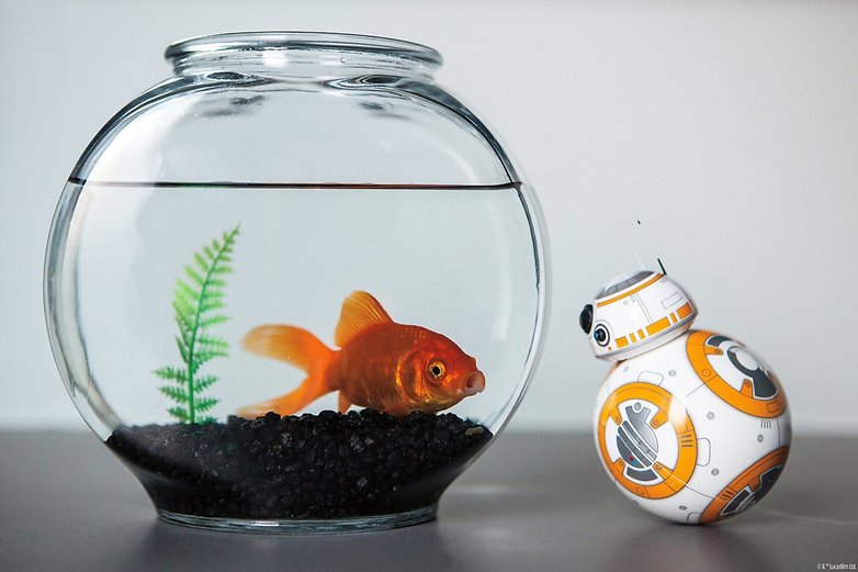 BB 8