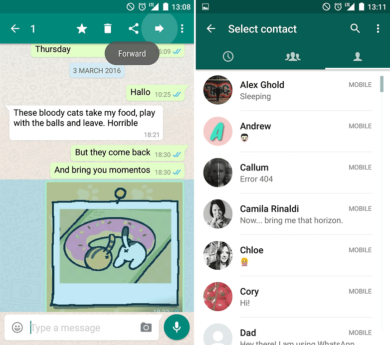 Have a problem with WhatsApp? Here are the solutions | AndroidPIT