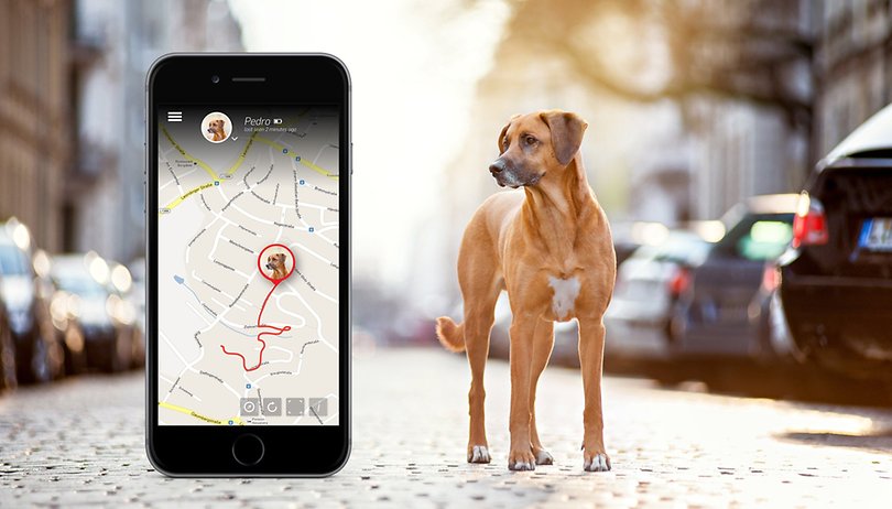 Deal: Tractive GPS pet tracker - 23% off