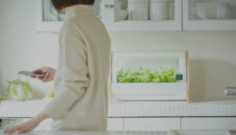 Foop:cultiva tu huerto en casa con tu smartphone