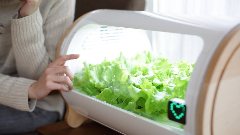 foop gadget 01