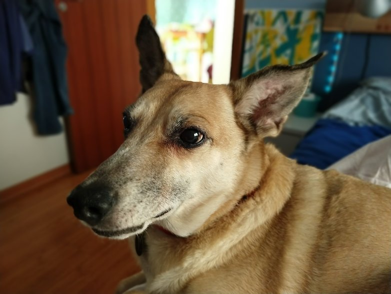 IMG 20180526 153613364 PORTRAIT