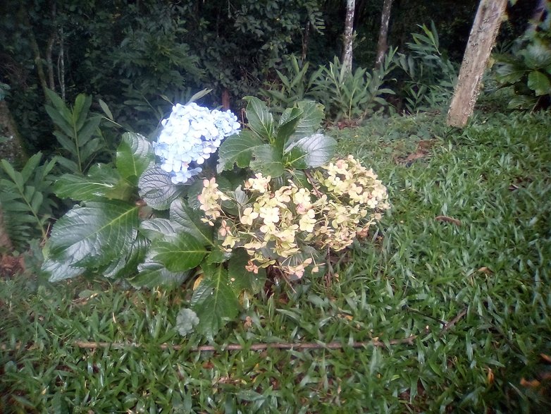 IMG 20190121 185835