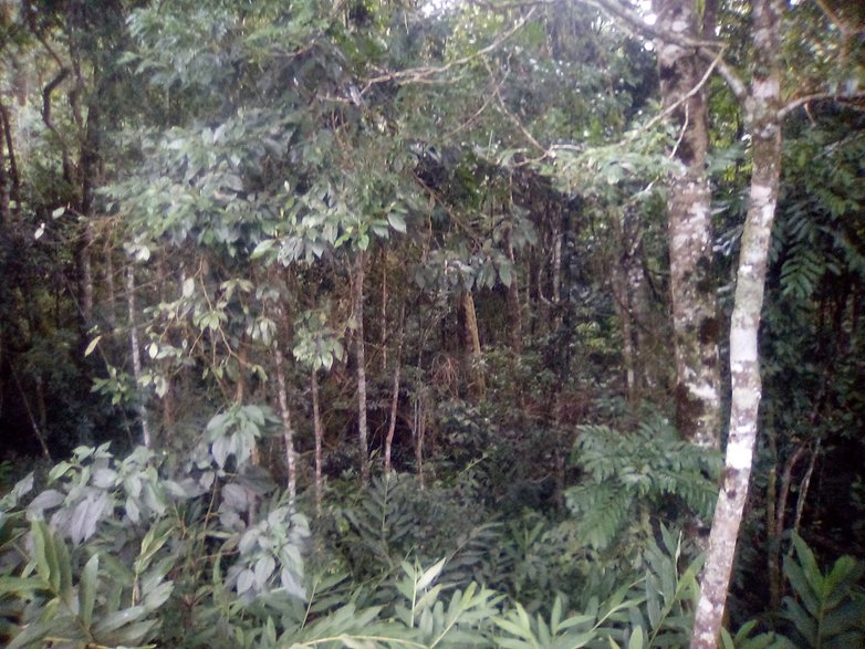 IMG 20190121 185903