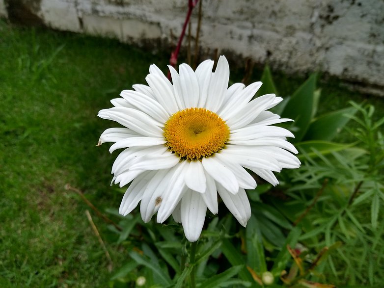 IMG 20190303 171237129 HDR