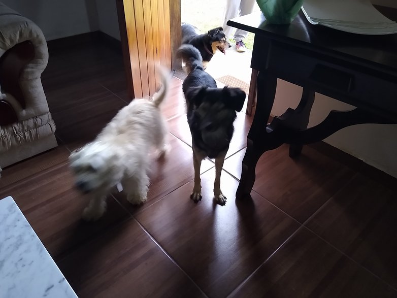 IMG 20190303 173422766