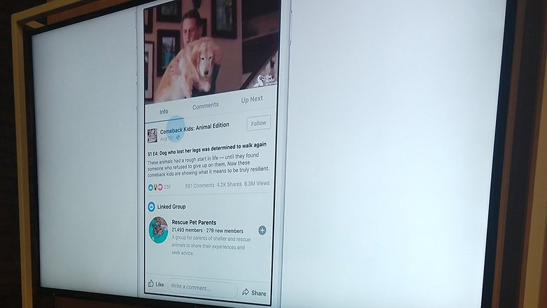 facebook experience 6