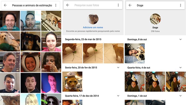 google fotos animais 2
