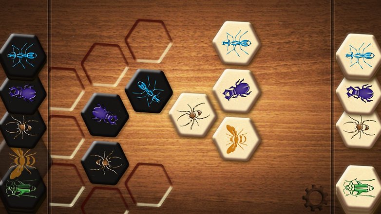 hive