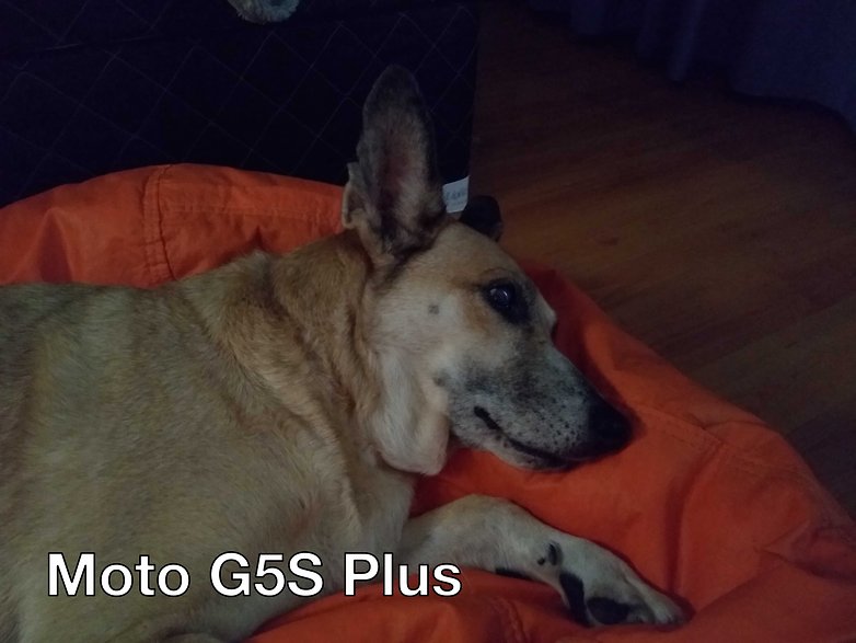 motoG5Splus 1