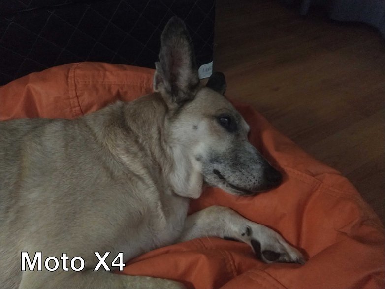 motox4 1