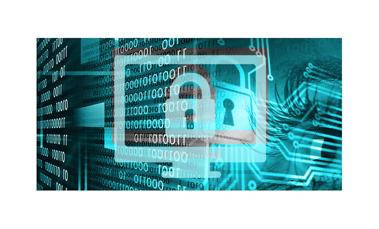 white hat hack course