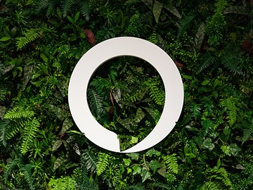 O que significa a luz amarela da Alexa
