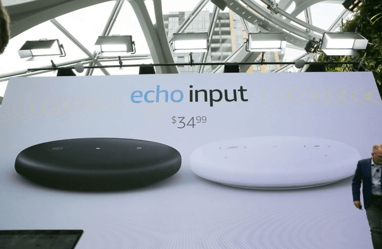 echo input