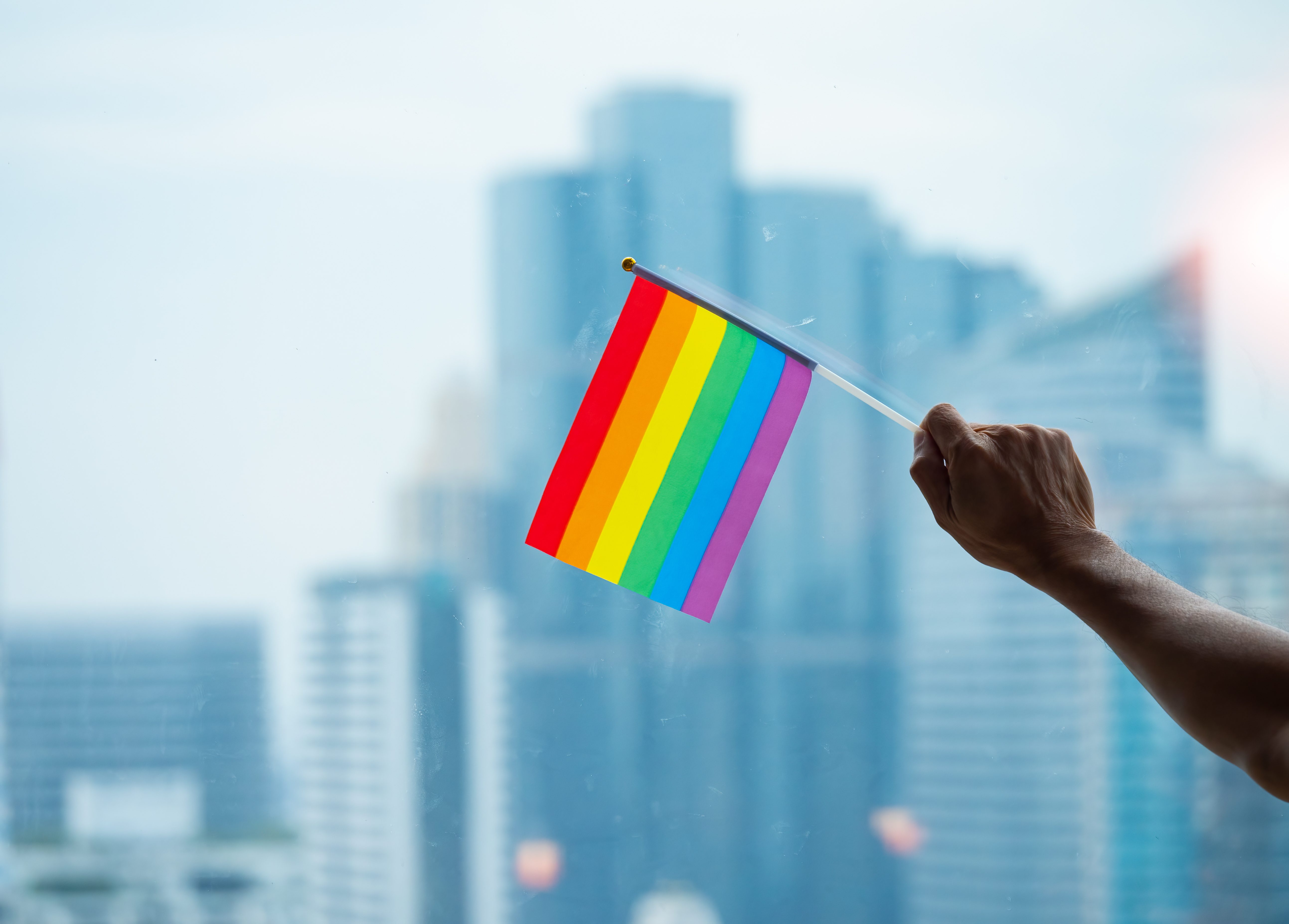 Pride month: The U.S. companies with the best D&I