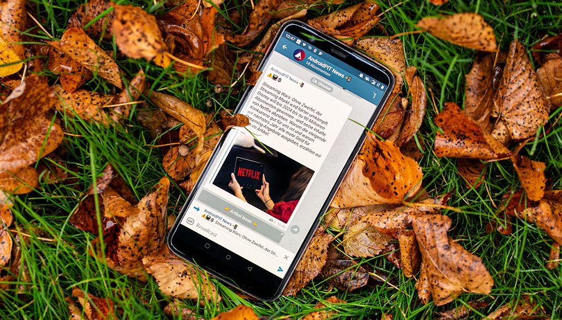 Uns gibt's jetzt auch bei Telegram! Wie jetzt?