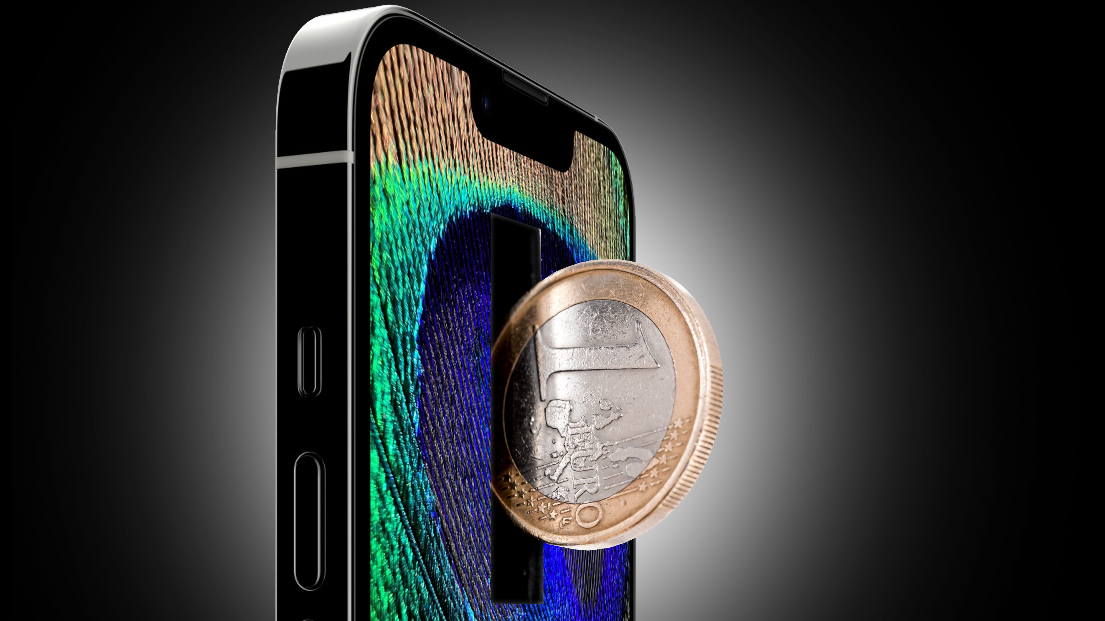 Gold and silver One Euro coin 9 iPhone 14 Pro Max Case