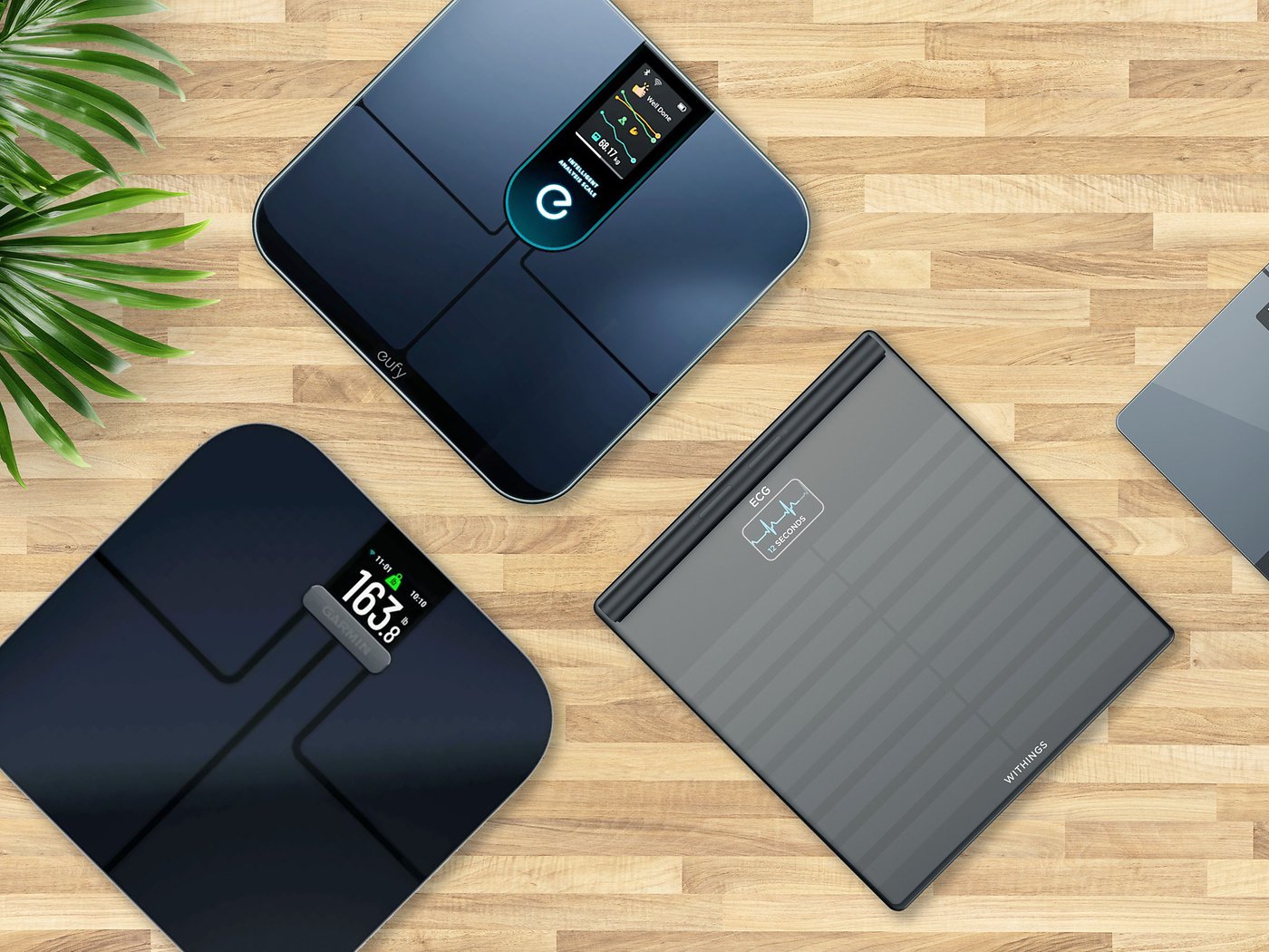 Withing's new scale takes body-composition measuring to a new level