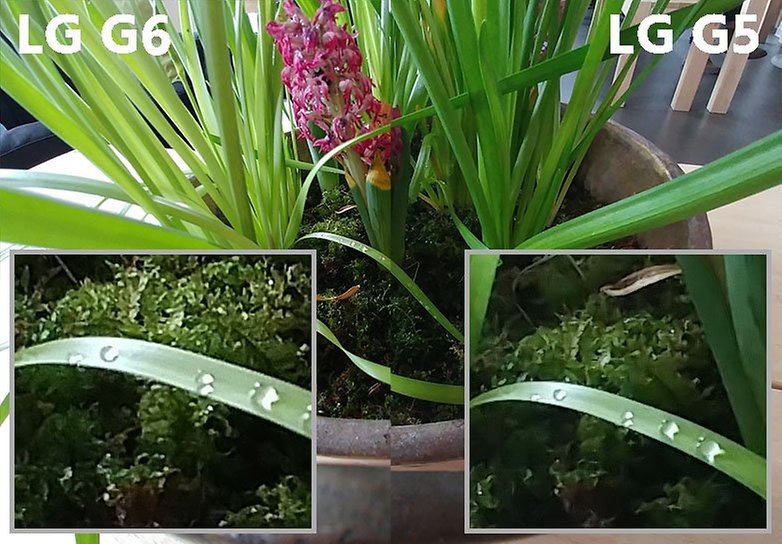 flower pot