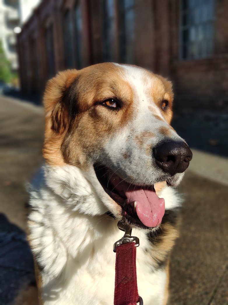 hercules xiaomi mi 8 pro
