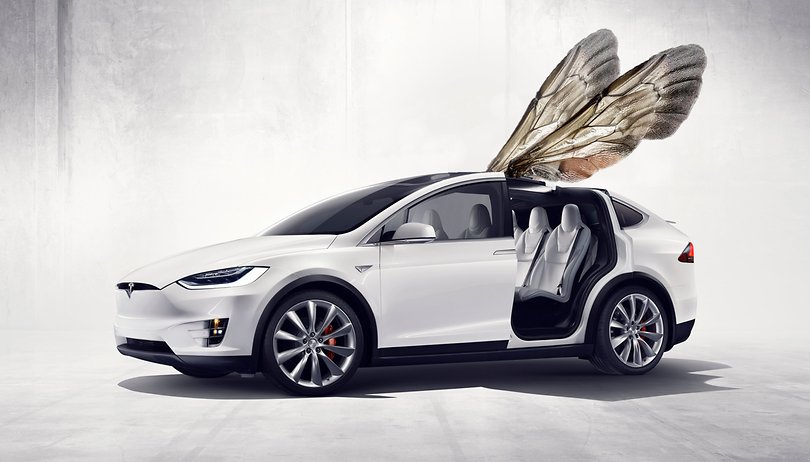 Lo que los pingüinos y las abejas pueden enseñar a Tesla
