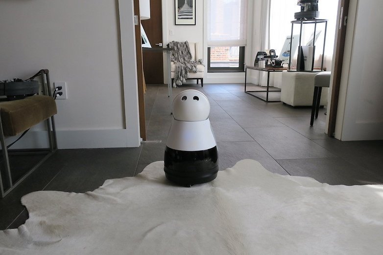 Mayfield Robotics Kuri