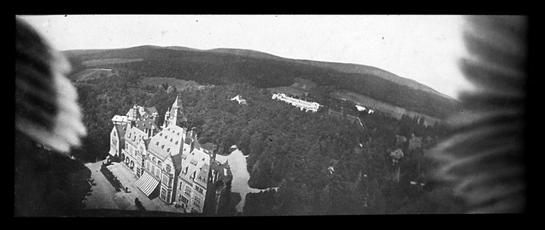 pigeon camera view