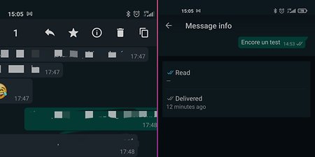 What do the WhatsApp check marks mean? | NextPit