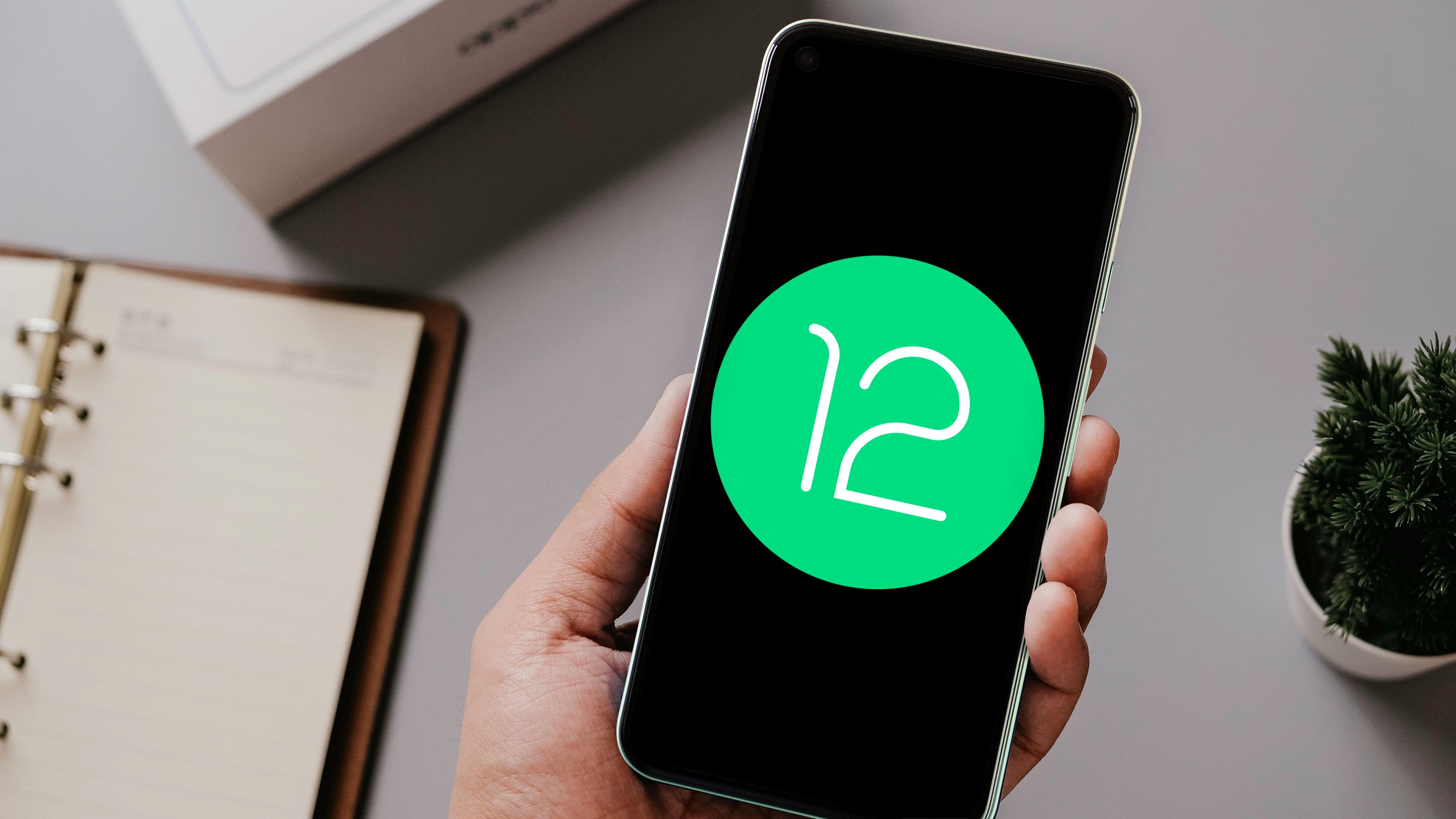 Android 12: Here's everything you wanted to know | NextPit