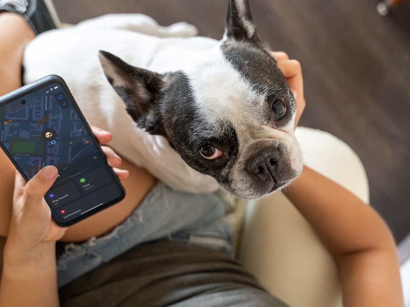 Best GPS tracker dogs & cats compared | nextpit