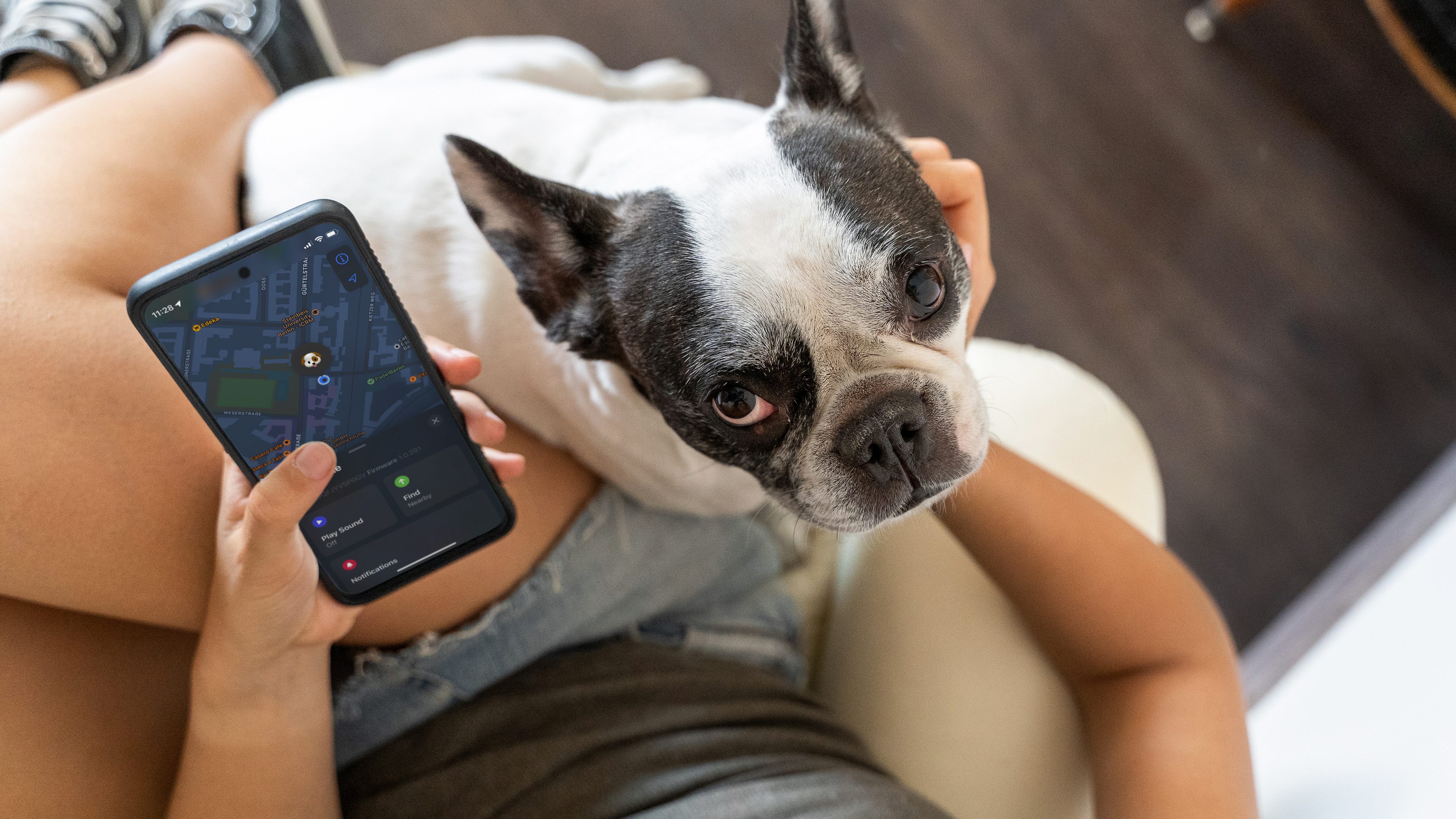Traceur gps 4g pour animaux chien chat avec app de suivi android