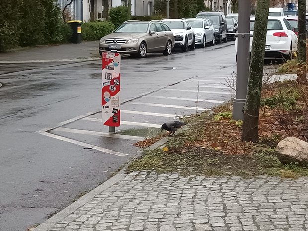 Samsung-Galaxy-A22-5G-7