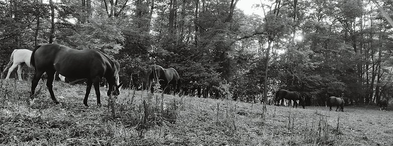 Xpan Mode BW 3