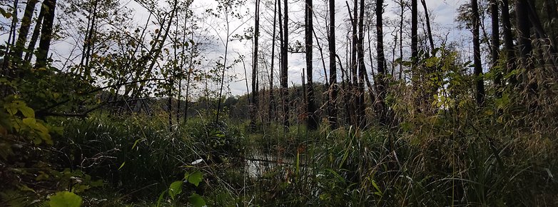 Xpan Mode Colour