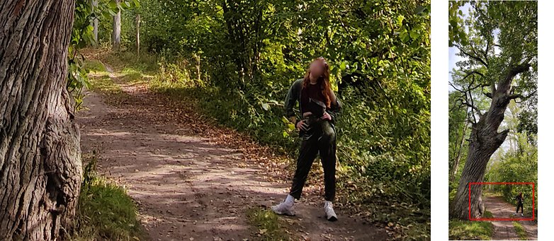 Xpan Mode Distortion