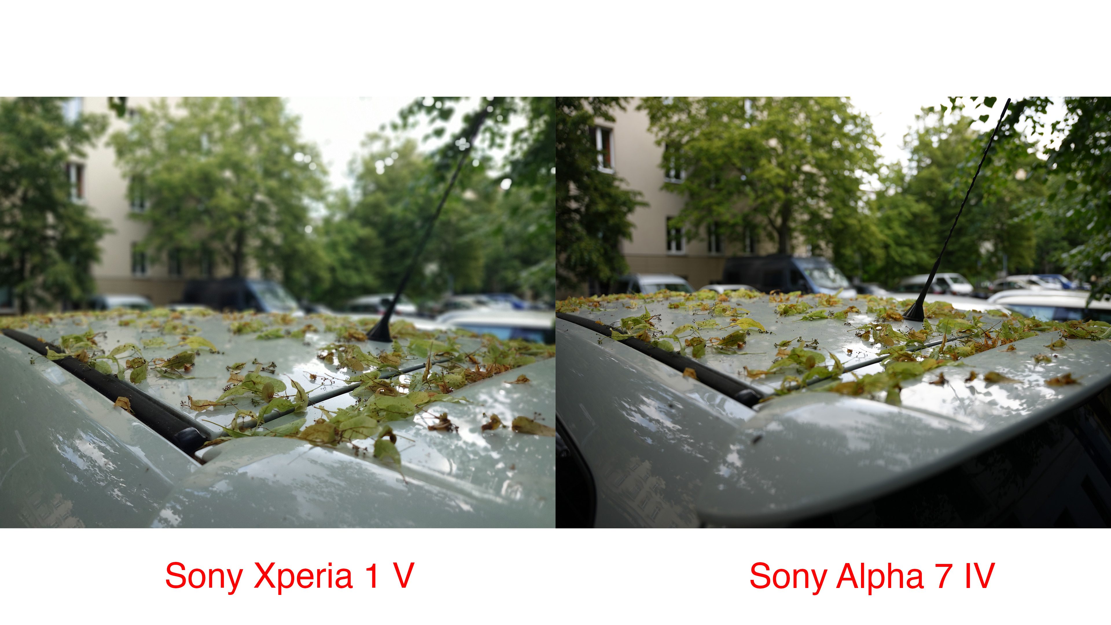 Retourenkauf -20% auf Sony Alpha 7 III