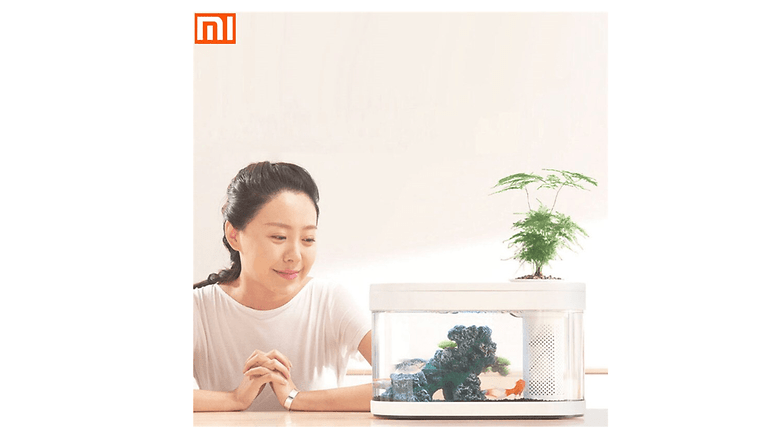 xiaomi aquario