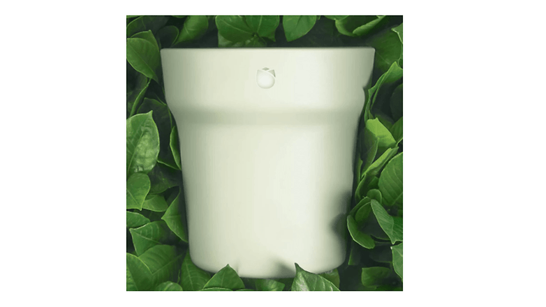 xiaomi vaso